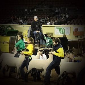 Meet your Posher, Riley